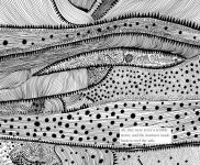 Alternative view 3 of The Little Mermaid by Hans Christian Andersen & Yayoi Kusama: A Fairy Tale of Infinity and Love Forever