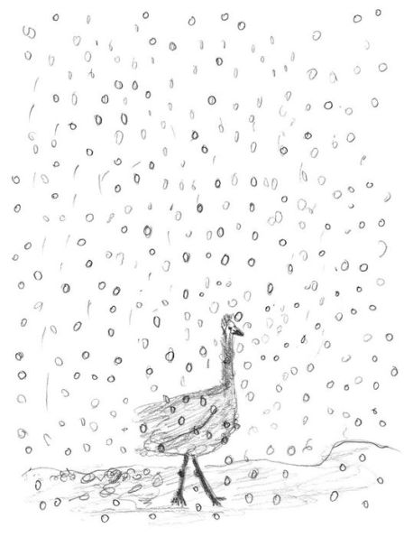 The Ugly Duckling by Hans Christian Andersen & Marina Abramovic
