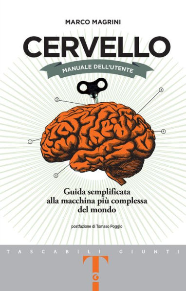 Cervello. Manuale dell'utente: Guida semplificata alla macchina più complessa del mondo