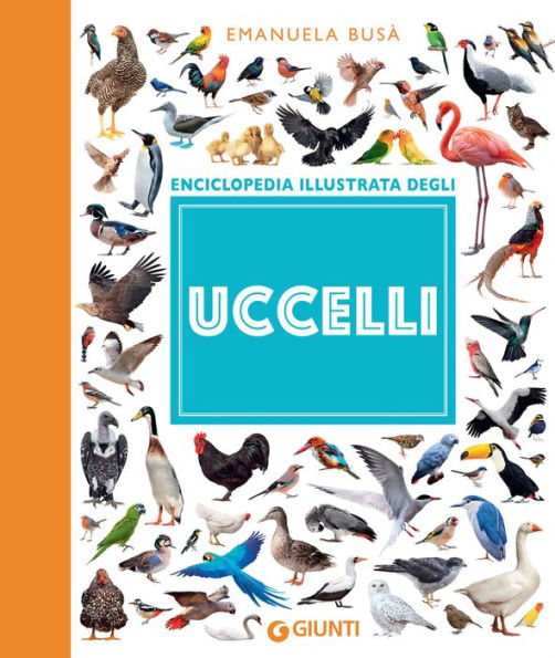 Uccelli