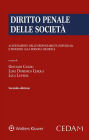 Diritto penale delle società: Accertamento delle responsabilità individuali e processo alla persona giuridica