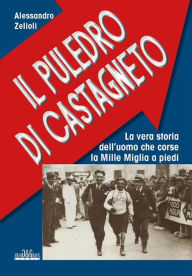 Title: Il Puledro di Castagneto, Author: Alessandro Zelioli