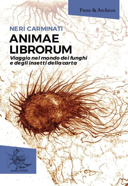 Animae Librorum: Viaggio nel mondo dei funghi e degli insetti della carta