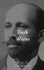 Darkwater
