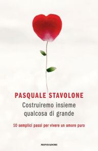 Title: Costruiremo insieme qualcosa di grande, Author: Pasquale Stavolone