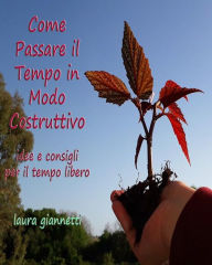 Title: Come passare il tempo in modo costruttivo: idee e consigli per il tempo libero, Author: Laura Giannetti