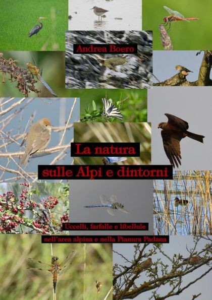 La natura sulle Alpi e dintorni: Uccelli, libellule e farfalle dell'area alpina e della Pianura Padana