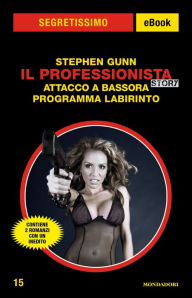 Title: Il Professionista Story: Attacco a Bassora - Programma Labirinto (Segretissimo), Author: Stephen Gunn