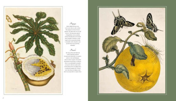 Botanical Art