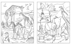 Alternative view 2 of Coloring Animals