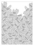 Alternative view 5 of Flower Fantasy. An anti-stress coloring book with 60 illustrations