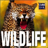 Wildlife