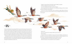 Alternative view 10 of The Little Prince