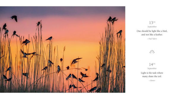 365 Thoughts for Connecting with Nature