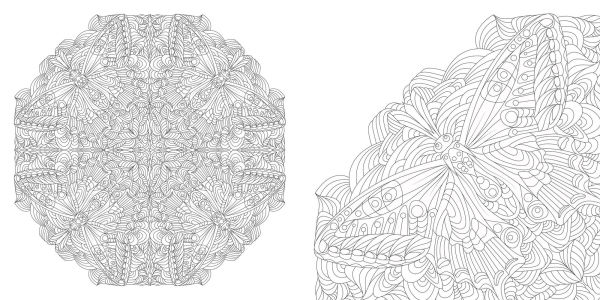 Floral Mandalas Coloring Book