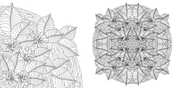 Floral Mandalas Coloring Book