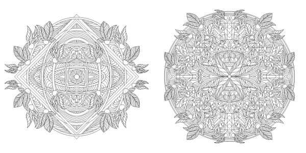 Floral Mandalas Coloring Book