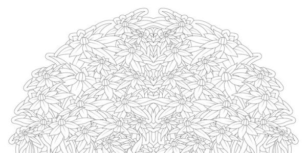 Floral Mandalas Coloring Book