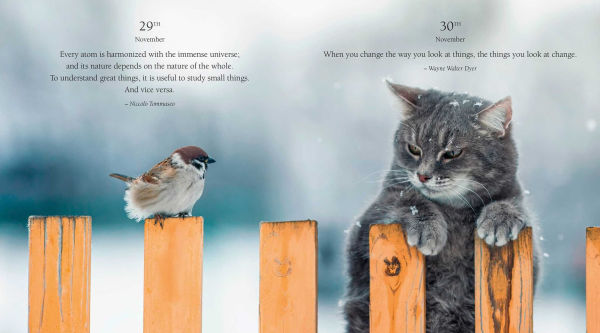 365 Thoughts of Harmony with the Seasons