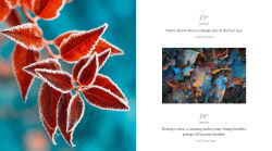 Alternative view 4 of 365 Thoughts of Harmony with the Seasons
