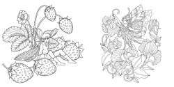 Alternative view 16 of Magical Nature Coloring Book