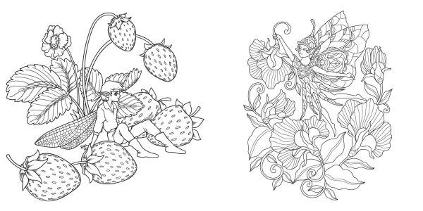 Magical Nature Coloring Book