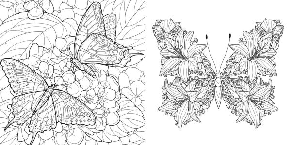 Magical Nature Coloring Book