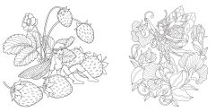 Alternative view 5 of Magical Nature Coloring Book