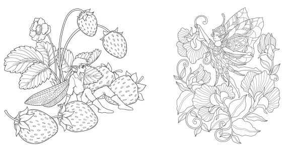 Magical Nature Coloring Book