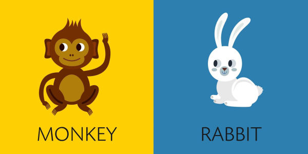 CubeBooks: Toddler Basics: 8 Board Books for Curious Little Ones