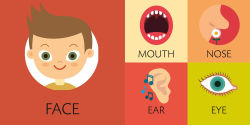 Alternative view 25 of CubeBooks: Toddler Basics: 8 Board Books for Curious Little Ones