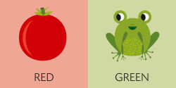 Alternative view 27 of CubeBooks: Toddler Basics: 8 Board Books for Curious Little Ones