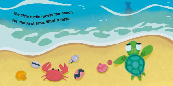 The Ocean's White Noise
