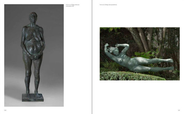 The Vicky & Marcos Micha Levy Collection: Inhabiting Art / Habitar el Arte