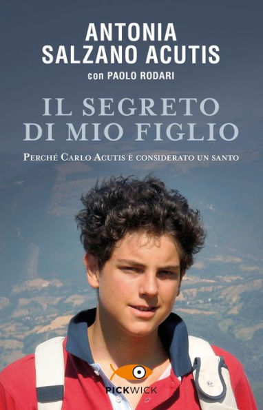 Il segreto di mio figlio