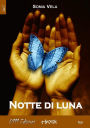 Notte di luna
