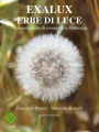 Exalux erbe di luce