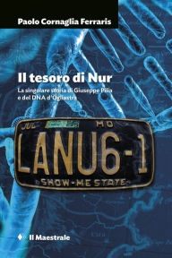 Title: Il tesoro di Nur: La singolare storia di Giuseppe Pilia e del DNA d'Ogliastra, Author: Paolo Cornaglia Ferraris