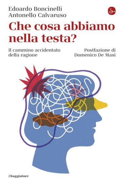 Che cosa abbiamo nella testa?: Il cammino accidentato della ragione