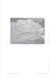 Title: Word Is Round, Author: Marie de Brugerolle