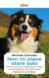 Title: Non mi piace stare solo: Come prevenire e affrontare l'ansia da separazione del nostro cane, Author: Michele Caricato