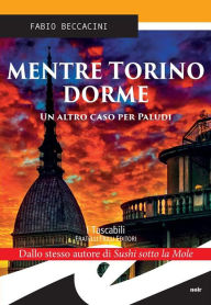 Title: Mentre Torino dorme: Un altro caso per Paludi, Author: Fabio Beccacini