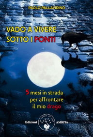 Title: Vado a vivere sotto i ponti: 5 medi in strada per affrontare il mio drago, Author: Paolo Pallavidino