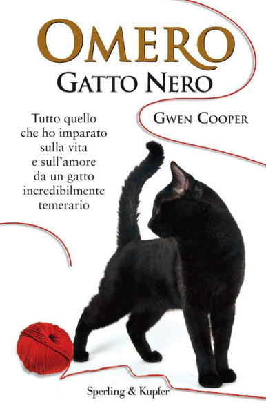 Omero gatto nero (Homer's Odyssey)