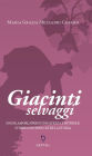 Giacinti selvaggi: Sogni, amori, spregiudicatezza e intrighi. Storie di donne oltre la storia.