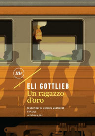 Title: Un ragazzo d'oro, Author: Eli Gottlieb