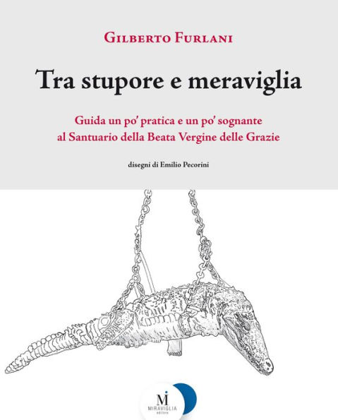Tra stupore e meraviglia: Guida un po' pratica e un po' sognante al Santuario della Beata Vergine delle Grazie