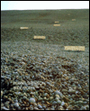 Robert Smithson: Slideworks