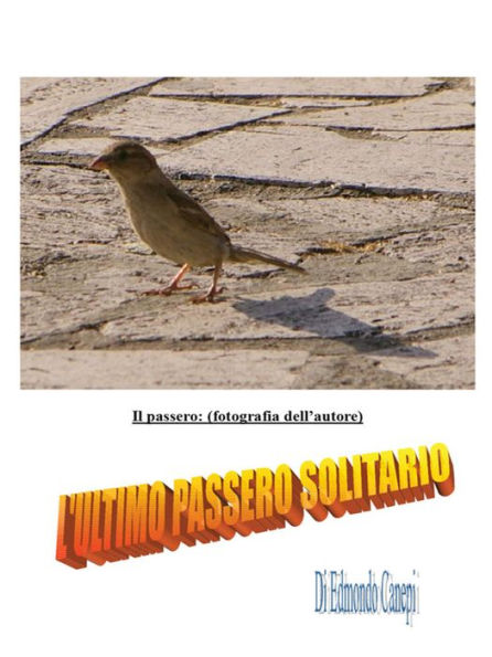 L'ultimo passero solitario