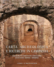 Title: Carta Archeologica e Ricerche in Campania: Comuni di Camigliano, Savignano Irpino, Sperone, Author: Stefania Quilici Gigli